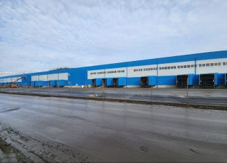 Сдача в аренду склада, 30000 м2, Ростов-на-Дону, улица Пескова, 3, Советский район