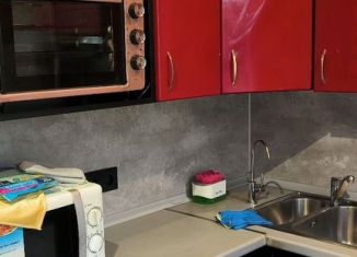 Сдам двухкомнатную квартиру, 44 м2, Санкт-Петербург, Ланское шоссе, 59, Приморский район