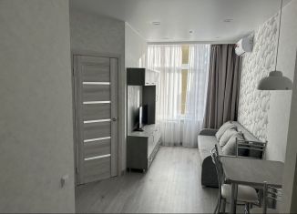 1-комнатная квартира в аренду, 30.2 м2, Сочи, улица Гастелло, 27Б, микрорайон Голубые Дали