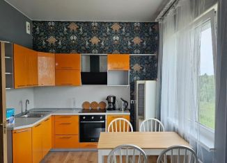 Сдаю в аренду однокомнатную квартиру, 42 м2, Петергоф, Парковая улица, 14к2, ЖК Новый Петергоф