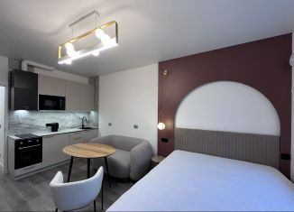 Сдача в аренду квартиры студии, 25 м2, Санкт-Петербург, проспект Будённого, 13, муниципальный округ Сосновая Поляна