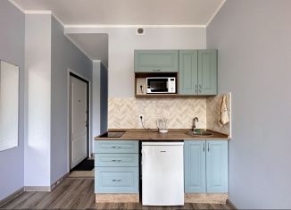 Сдается квартира студия, 20 м2, деревня Румянцево, улица Инженера Кнорре, 7к1