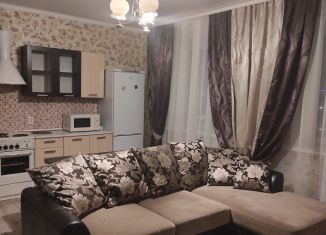 Сдаю 1-комнатную квартиру, 49 м2, Тюменская область, улица Николая Ростовцева, 25