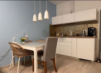 Сдам квартиру студию, 31 м2, Сочи, Дагомысский переулок, 18, микрорайон Ареда