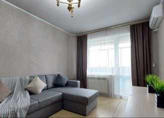 Аренда 1-ком. квартиры, 33 м2, Нижний Новгород, улица Дмитрия Павлова, 2
