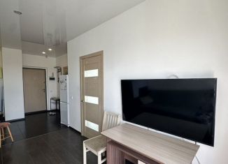 Аренда 1-комнатной квартиры, 36 м2, Великий Новгород, Большая Санкт-Петербургская улица, 124