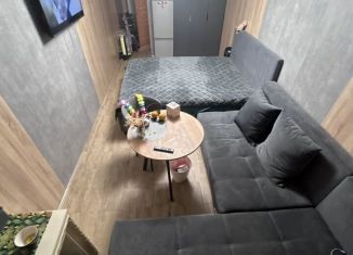 Сдается в аренду квартира студия, 25 м2, Москва, Автозаводская улица, 23с16, ЮАО