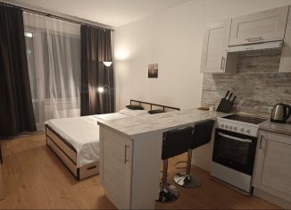 Сдается в аренду квартира студия, 25 м2, Санкт-Петербург, 5-й Предпортовый проезд, 2, 5-й Предпортовый проезд