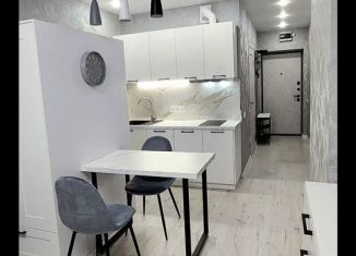 Аренда квартиры студии, 29 м2, Ростов-на-Дону, Береговая улица, 73с1