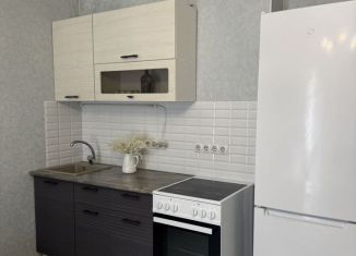 Сдача в аренду квартиры студии, 29.1 м2, Оренбург, улица Братьев Хусаиновых, 2/2, ЖК Акварель