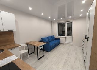 Сдам квартиру студию, 25 м2, Мурино, Екатерининская улица, ЖК Три кита