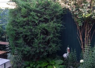 Аренда дома, 40 м2, Ростовская область, улица Бабушкина, 40