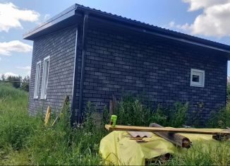 Продажа дома, 40 м2, деревня Большая Ноля, улица Шумелёва, 96