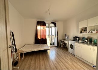 Продам квартиру студию, 19 м2, Мурино, улица Шувалова, 19к2, ЖК Краски Лета