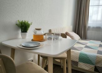 Сдача в аренду квартиры студии, 24 м2, Санкт-Петербург, проспект Большевиков, 68к1