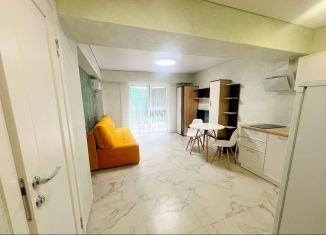 Продается 1-комнатная квартира, 31 м2, Сочи, Крымская улица, 65Б, микрорайон Мамайка