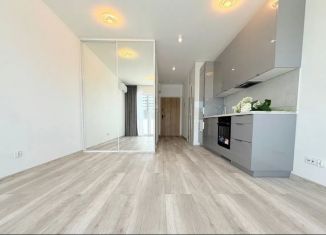 Продается квартира студия, 24.4 м2, Санкт-Петербург, Советский проспект, 2, метро Рыбацкое