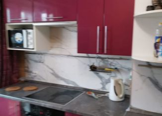 Сдаю в аренду однокомнатную квартиру, 35 м2, Санкт-Петербург, проспект Просвещения, 53к1