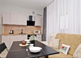 Сдача в аренду квартиры студии, 25 м2, Татарстан, улица Аделя Кутуя, 100