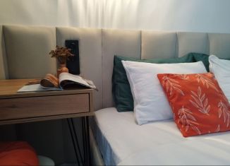 Сдаю в аренду квартиру студию, 25 м2, Удмуртия, улица имени В.С. Тарасова, 1