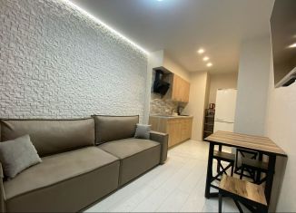 Двухкомнатная квартира в аренду, 40 м2, Ростов-на-Дону, проспект Маршала Жукова, 19/12