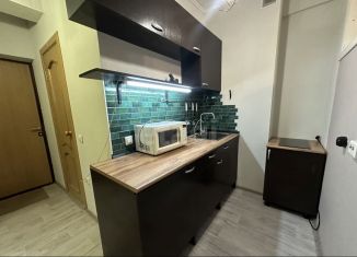 Сдача в аренду однокомнатной квартиры, 40 м2, Татарстан, улица Академика Сахарова, 18