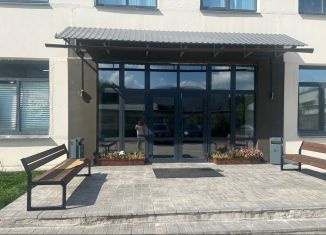 Сдам в аренду помещение свободного назначения, 247.5 м2, Королёв, проезд Ярославский, 11А