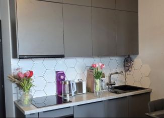 Продажа квартиры студии, 29.6 м2, Санкт-Петербург, улица Лётчика Лихолетова