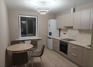 Сдача в аренду 1-комнатной квартиры, 43.3 м2, Республика Башкортостан, улица Минигали Губайдуллина, 10