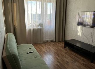 Однокомнатная квартира в аренду, 40 м2, Нижний Новгород, 6-й микрорайон Автозавода, 19, 6-й микрорайон Автозавода