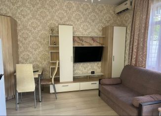 Сдам квартиру студию, 25 м2, Сириус, Перепелиный переулок, 20