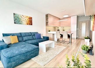 Продается квартира студия, 22 м2, Санкт-Петербург, Гатчинская улица, 12, муниципальный округ Петровский