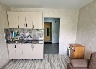 Сдаю в аренду квартиру студию, 18 м2, Тюмень, улица Парфёнова, 20