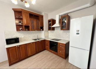 Двухкомнатная квартира в аренду, 65 м2, Санкт-Петербург, улица Нахимова, 11