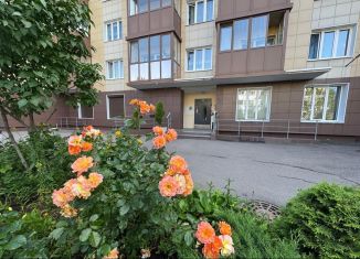 Квартира на продажу студия, 30.1 м2, Санкт-Петербург, Новосельковская улица, 3, Новосельковская улица