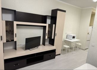 Продаю квартиру студию, 24.6 м2, Ростов-на-Дону, проспект Маршала Жукова, 27/1, ЖК Английский Квартал