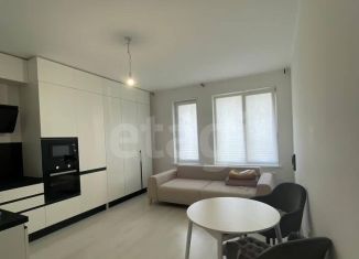 Продаю квартиру студию, 27 м2, Санкт-Петербург, Арцеуловская аллея, 15