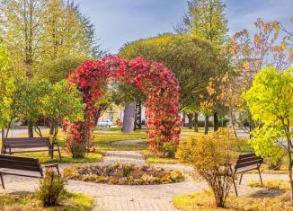 Продам дом, 515 м2, посёлок Вёшки