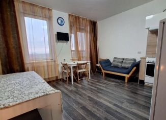 Квартира на продажу студия, 24.7 м2, Санкт-Петербург, Заводская улица, 15, метро Рыбацкое