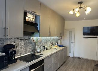 Трехкомнатная квартира на продажу, 70 м2, посёлок Парголово, Толубеевский проезд, 38к2, ЖК Северная Долина