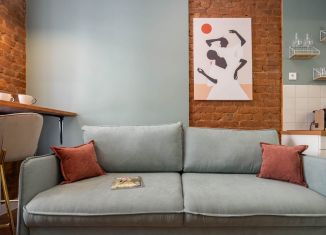 Сдаю в аренду квартиру студию, 19 м2, Санкт-Петербург, Большая Пушкарская улица, 32, муниципальный округ Кронверкское