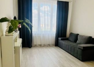 Продам 1-ком. квартиру, 28.7 м2, Санкт-Петербург, Дальневосточный проспект, 19к1, Дальневосточный проспект