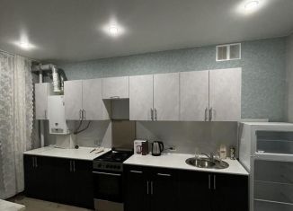 Сдача в аренду 1-ком. квартиры, 45 м2, Арзамас, Молокозаводская улица, 78