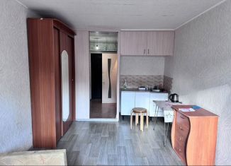 Сдаю в аренду квартиру студию, 23 м2, Республика Башкортостан, улица Ферина, 1/1