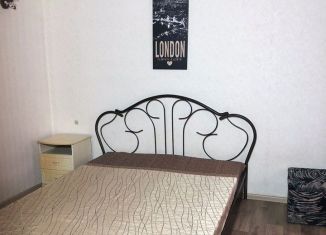 Сдается однокомнатная квартира, 29.3 м2, Биробиджан, улица Шолом-Алейхема, 102