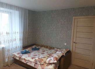 1-ком. квартира в аренду, 40 м2, Казань, улица Коммунаров, 2, Кировский район