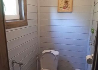 Продам дом, 135 м2, деревня Жилинка