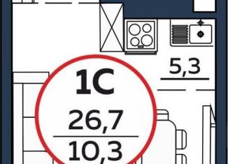 1-комнатная квартира на продажу, 26.7 м2, Обь, Октябрьская улица, 3