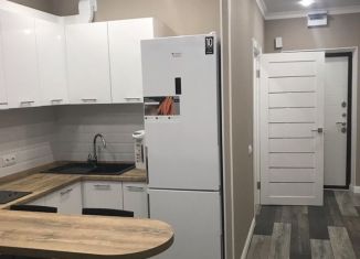 Продаю квартиру студию, 25 м2, Краснодар, улица им. Героя Сарабеева В.И., ЖК Керченский