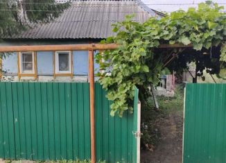 Продажа дома, 60 м2, поселок городского типа Долгое, улица Асессорова, 36